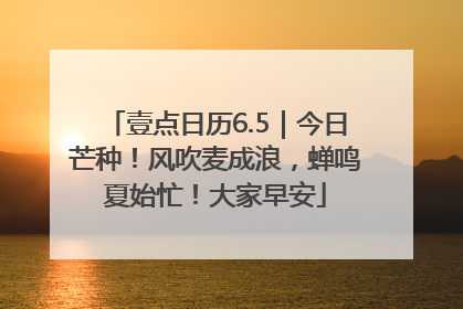壹点日历6.5｜今日芒种！风吹麦成浪，蝉鸣夏始忙！大家早安