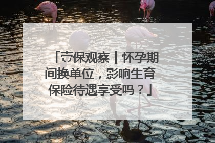 壹保观察｜怀孕期间换单位，影响生育保险待遇享受吗？
