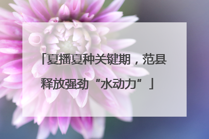 夏播夏种关键期，范县释放强劲“水动力”