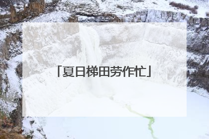 夏日梯田劳作忙