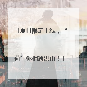 夏日限定上线，“荷”你相遇洪山！