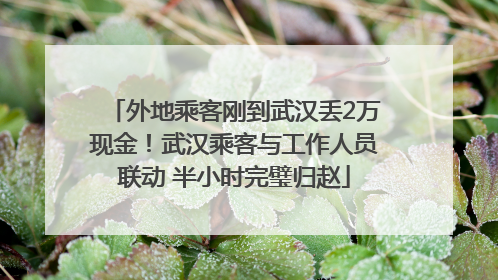 外地乘客刚到武汉丢2万现金！武汉乘客与工作人员联动 半小时完璧归赵
