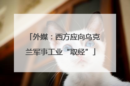外媒：西方应向乌克兰军事工业“取经”