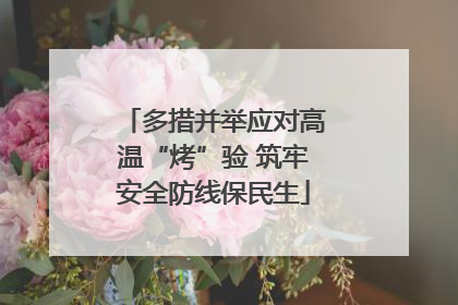 多措并举应对高温“烤”验 筑牢安全防线保民生