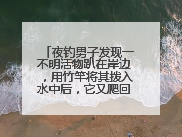 夜钓男子发现一不明活物趴在岸边，用竹竿将其拨入水中后，它又爬回岸边……