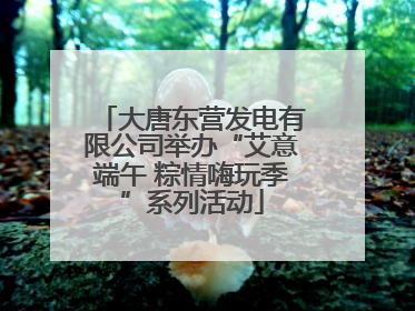 大唐东营发电有限公司举办“艾意端午 粽情嗨玩季”系列活动