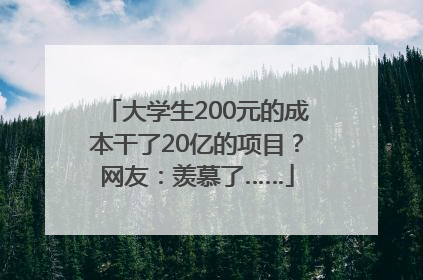 大学生200元的成本干了20亿的项目？网友：羡慕了……
