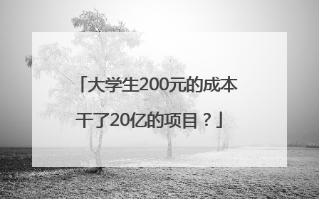 大学生200元的成本干了20亿的项目？