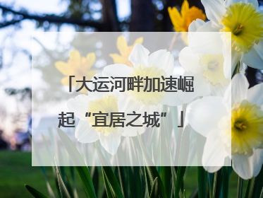 大运河畔加速崛起“宜居之城”