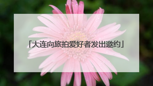 大连向旅拍爱好者发出邀约