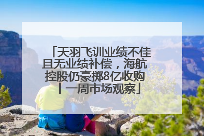 天羽飞训业绩不佳且无业绩补偿，海航控股仍豪掷8亿收购丨一周市场观察