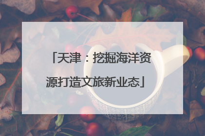 天津：挖掘海洋资源打造文旅新业态
