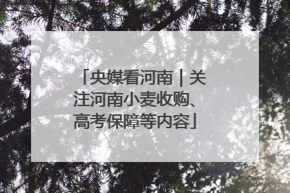 央媒看河南｜关注河南小麦收购、高考保障等内容