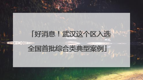 好消息！武汉这个区入选全国首批综合类典型案例