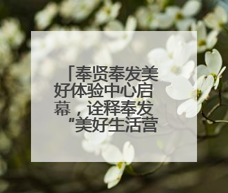奉贤奉发美好体验中心启幕，诠释奉发“美好生活营造者”定位