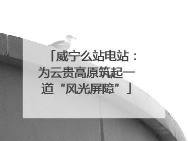 威宁么站电站：为云贵高原筑起一道“风光屏障”