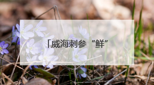 威海刺参“鲜”动烟台！威海展团闪耀2025海参产业烟台博览会