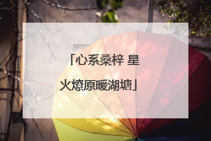 心系桑梓 星火燎原暖湖塘