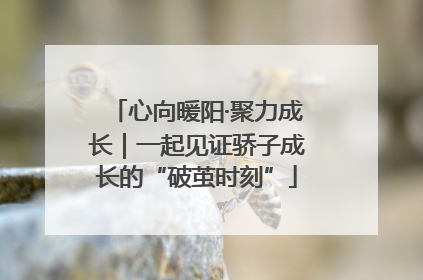 心向暖阳·聚力成长｜一起见证骄子成长的“破茧时刻”