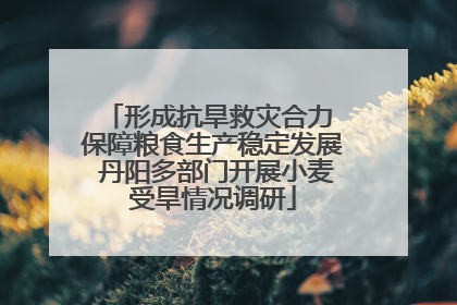 形成抗旱救灾合力 保障粮食生产稳定发展 丹阳多部门开展小麦受旱情况调研