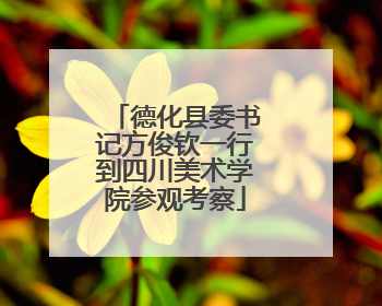 德化县委书记方俊钦一行到四川美术学院参观考察