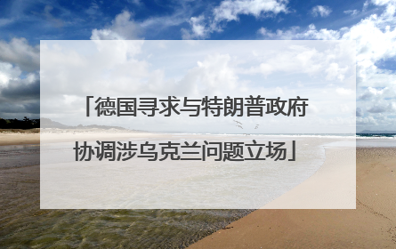 德国寻求与特朗普政府协调涉乌克兰问题立场
