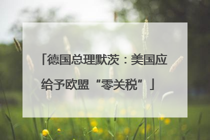 德国总理默茨：美国应给予欧盟“零关税”