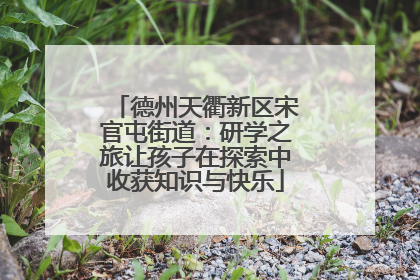 德州天衢新区宋官屯街道：研学之旅让孩子在探索中收获知识与快乐