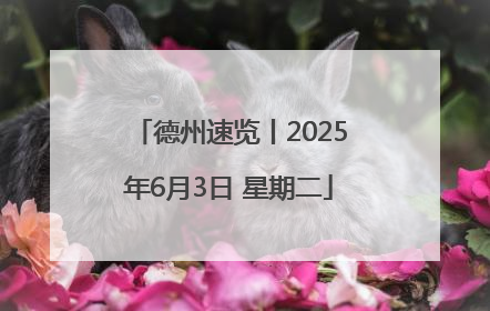 德州速览丨2025年6月3日 星期二