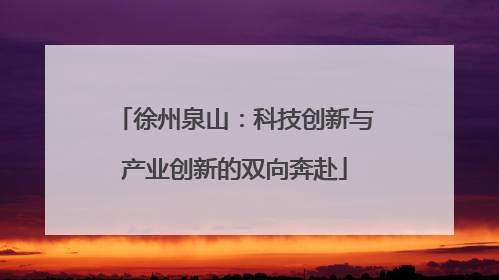 徐州泉山：科技创新与产业创新的双向奔赴
