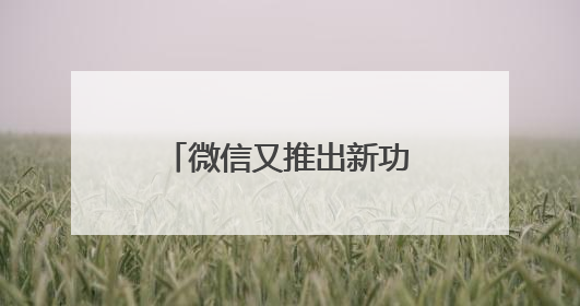 微信又推出新功能，有网友直呼：终于等到了