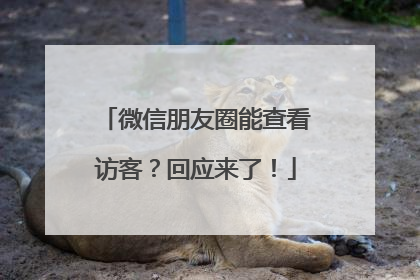 微信朋友圈能查看访客？回应来了！