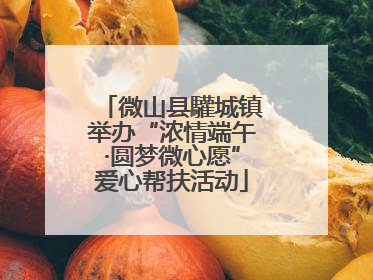 微山县驩城镇举办“浓情端午·圆梦微心愿”爱心帮扶活动