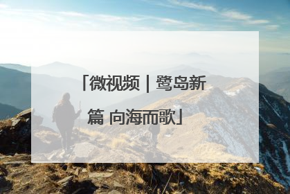 微视频｜鹭岛新篇 向海而歌