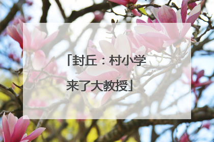 封丘：村小学来了大教授