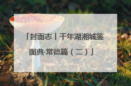 封面志丨千年湖湘城鉴图典·常德篇（二）