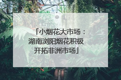 小烟花大市场：湖南浏阳烟花积极开拓非洲市场