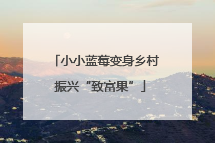 小小蓝莓变身乡村振兴“致富果”