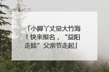 小脚丫丈量大竹海！快来报名，“益阳走娃”父亲节走起