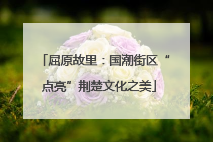 屈原故里：国潮街区“点亮”荆楚文化之美