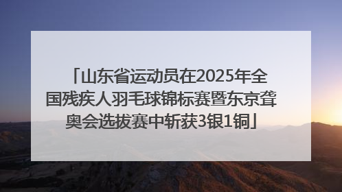 山东省运动员在2025年全国残疾人羽毛球锦标赛暨东京聋奥会选拔赛中斩获3银1铜