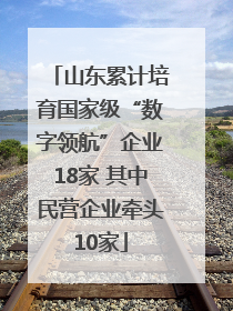 山东累计培育国家级“数字领航”企业18家 其中民营企业牵头10家