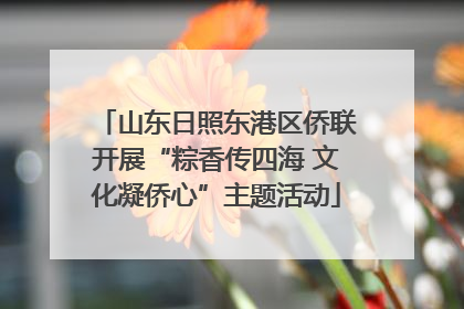 山东日照东港区侨联开展“粽香传四海 文化凝侨心”主题活动