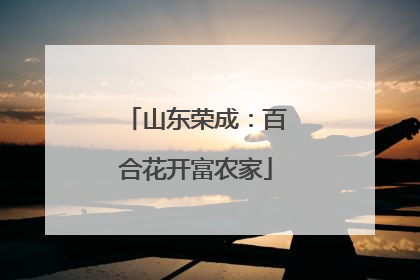 山东荣成：百合花开富农家