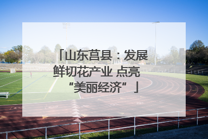 山东莒县：发展鲜切花产业 点亮“美丽经济”