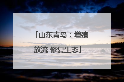 山东青岛：增殖放流 修复生态