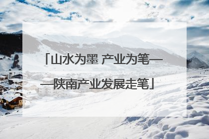 山水为墨 产业为笔——陕南产业发展走笔