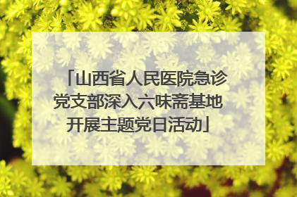 山西省人民医院急诊党支部深入六味斋基地开展主题党日活动