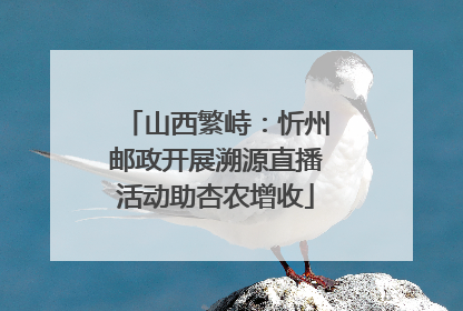 山西繁峙：忻州邮政开展溯源直播活动助杏农增收
