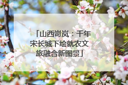 山西岢岚：千年宋长城下绘就农文旅融合新图景